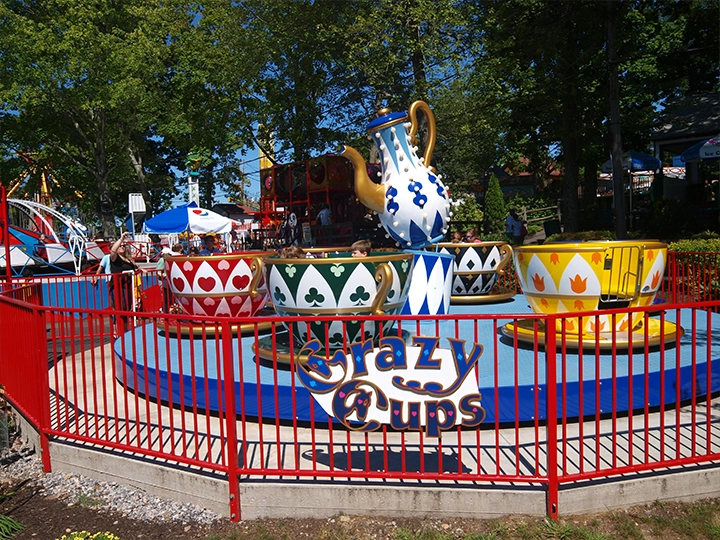 A picture of Crazy Cups